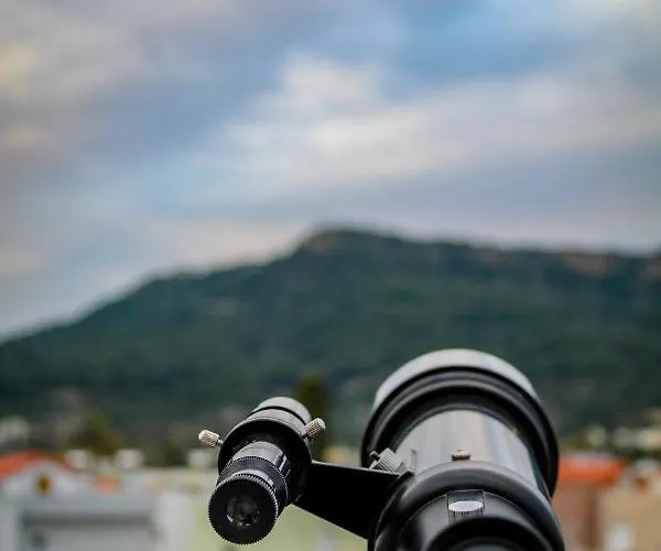 Sunshine Penthouse